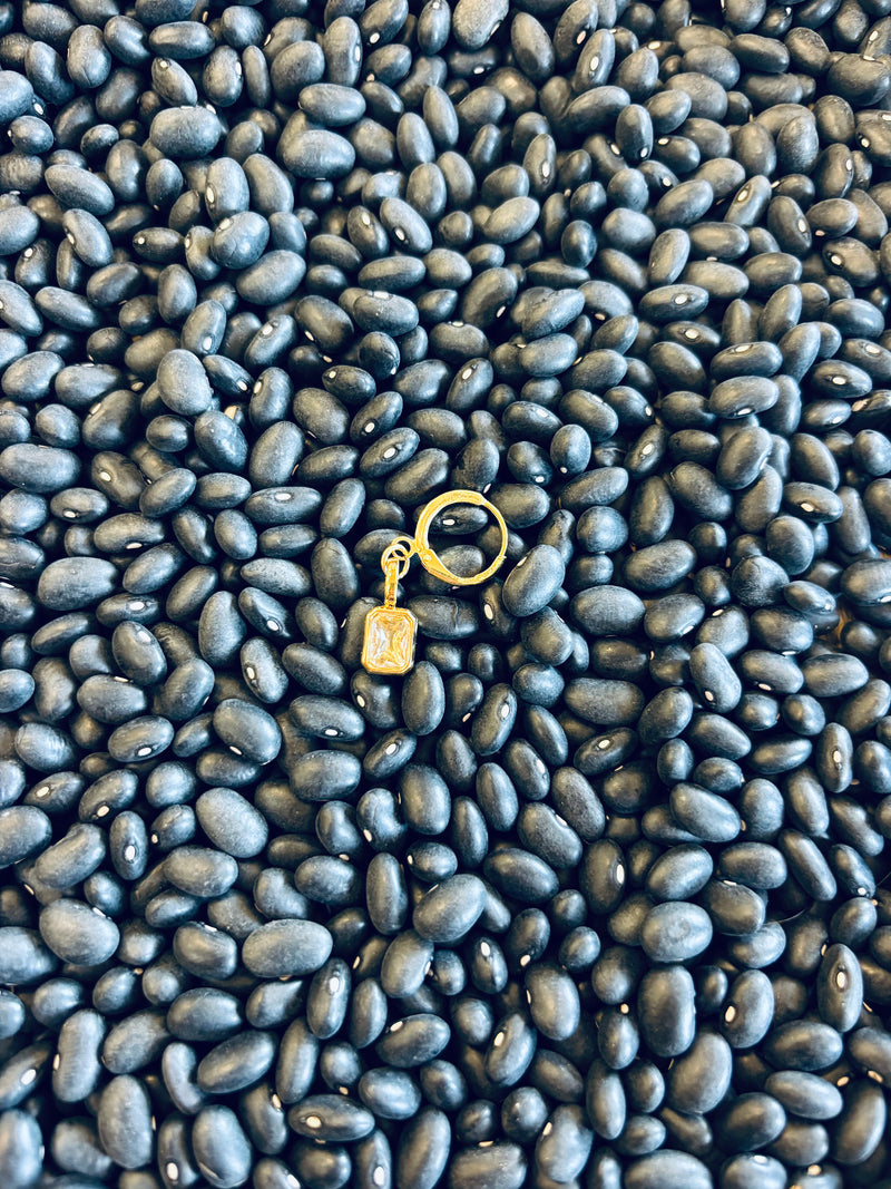 Small Stone Huggie Charm