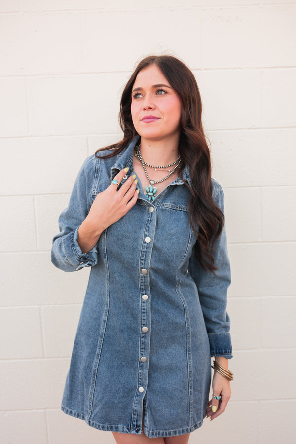 Dee Dee Denim Long Sleeve Dress