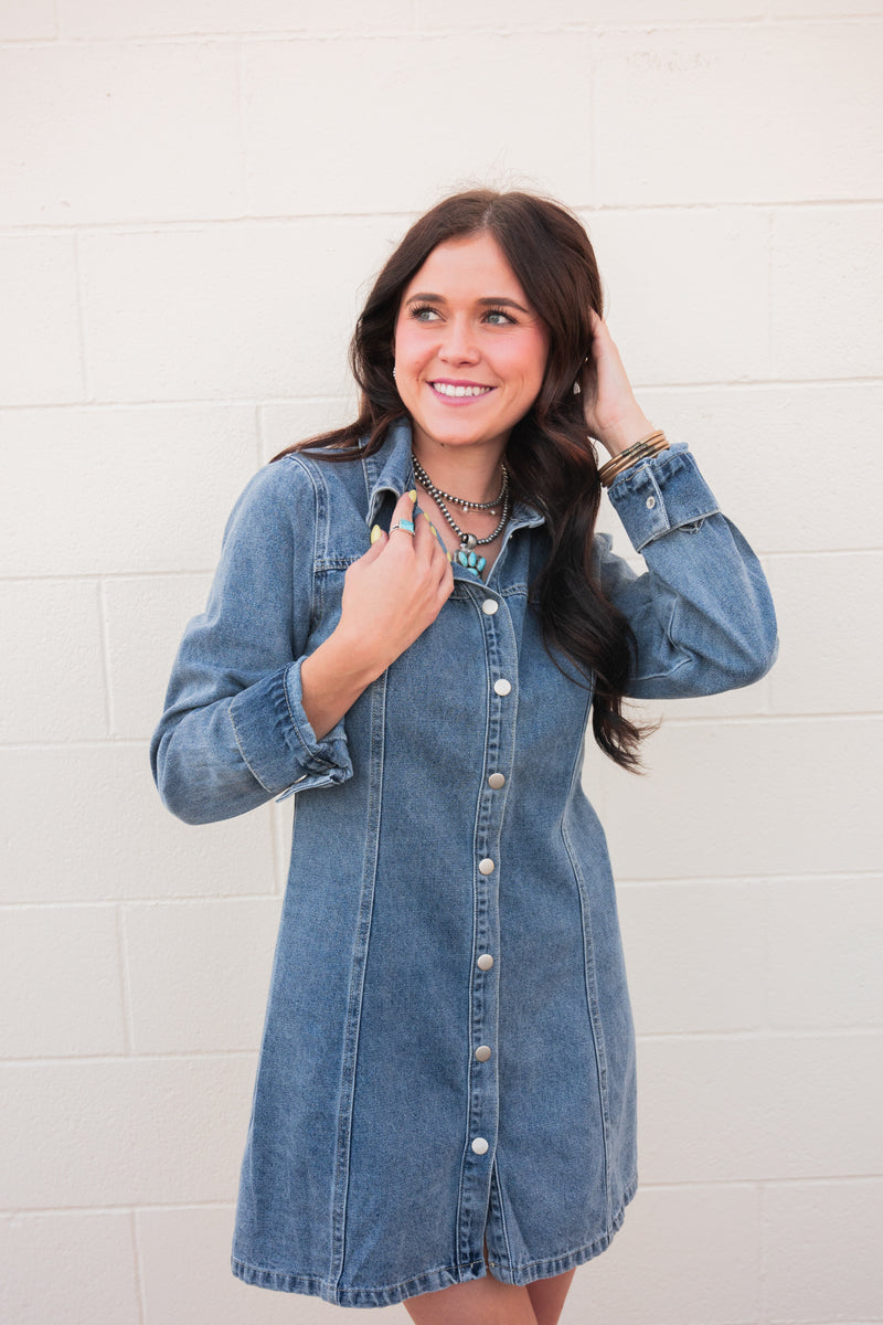 Dee Dee Denim Long Sleeve Dress