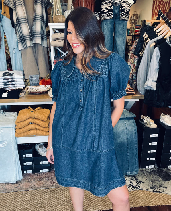 Charity Denim Collar Dress