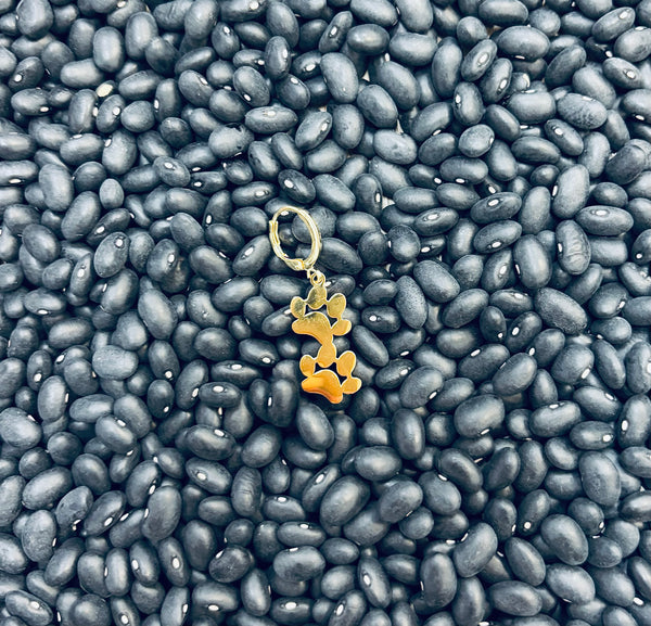 Double Paw Huggie Charm