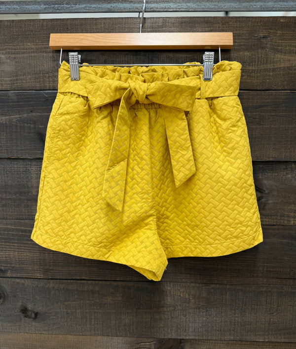 Lenny High Waist Tie Shorts