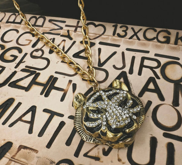 Eye of the Tiger Necklace