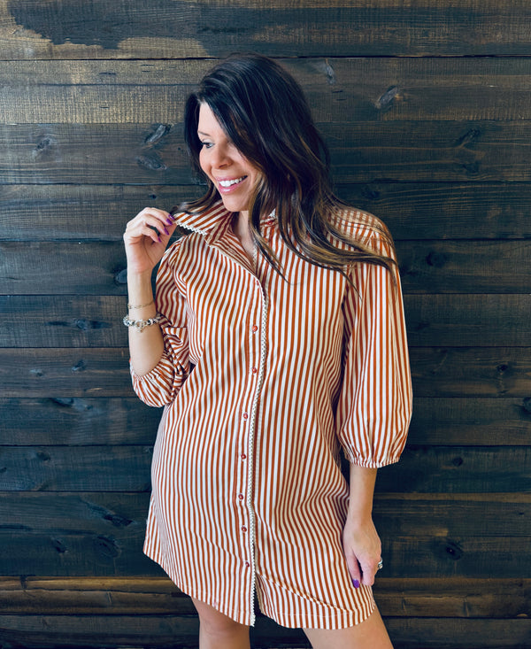 Tolani- Aditi Terracotta Stripe Dress