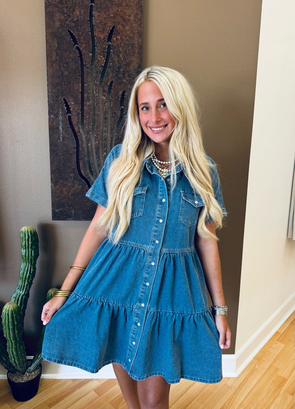 Darlene Denim Dress