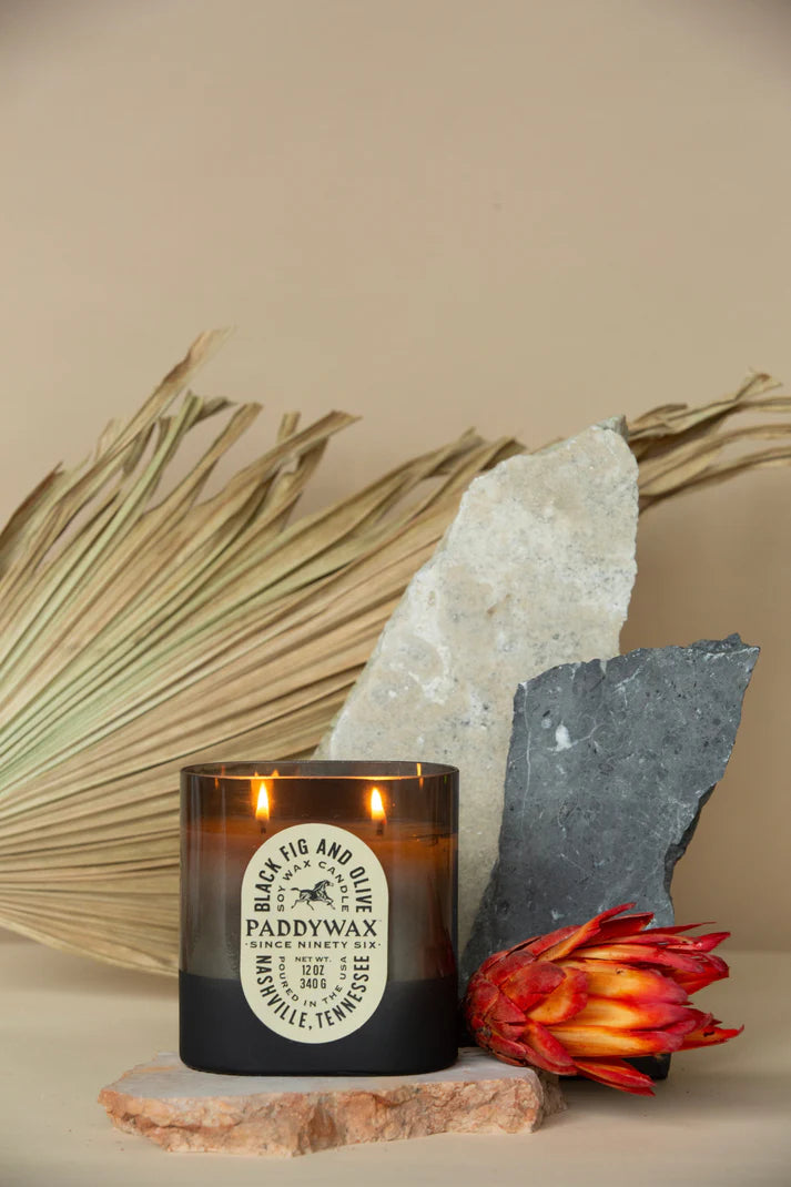 Paddywax- Vista 12oz Candle- Black Fig + Olive