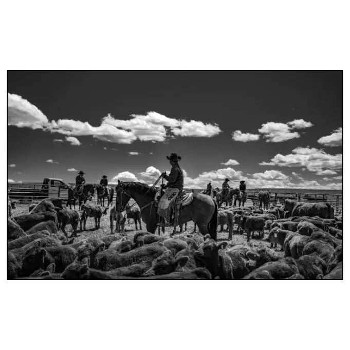 RANCHLAND: WAGONHOUND- Book by Anouk Krantz